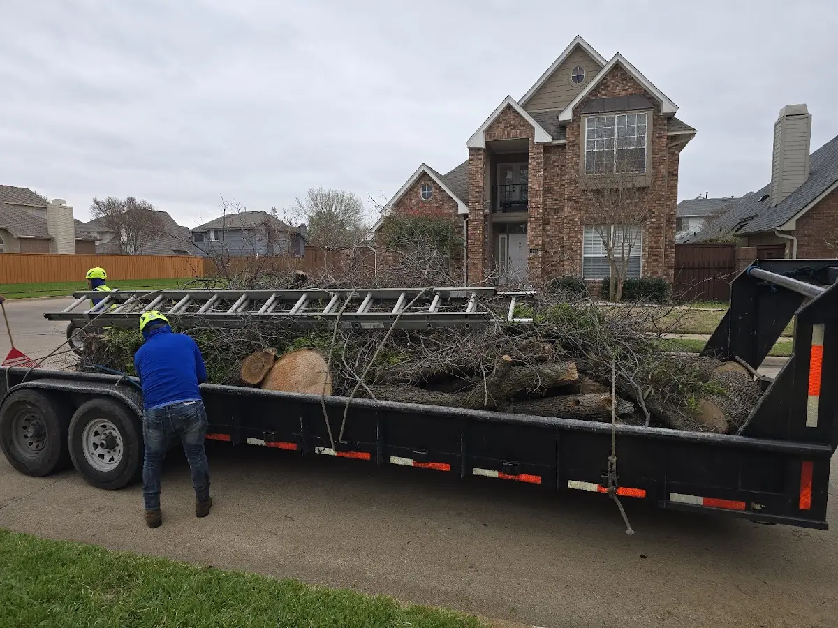 Expert Lot Clearing with proper safety equipment in Dixon